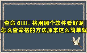 查命 🐟 格用哪个软件看好呢（怎么查命格的方法原来这么简单就看出来 🦉 了）